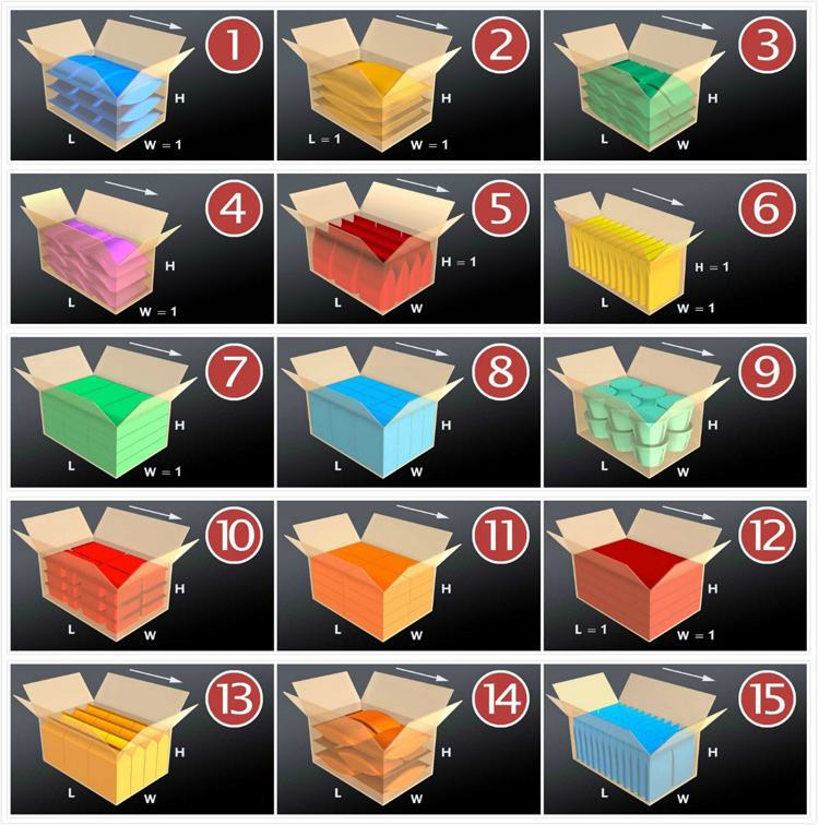 Load Case Top Packer-Servo Pick and Place