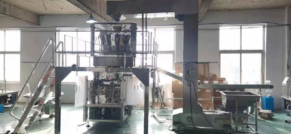Rotary Pre-made Pouch Packing Machine