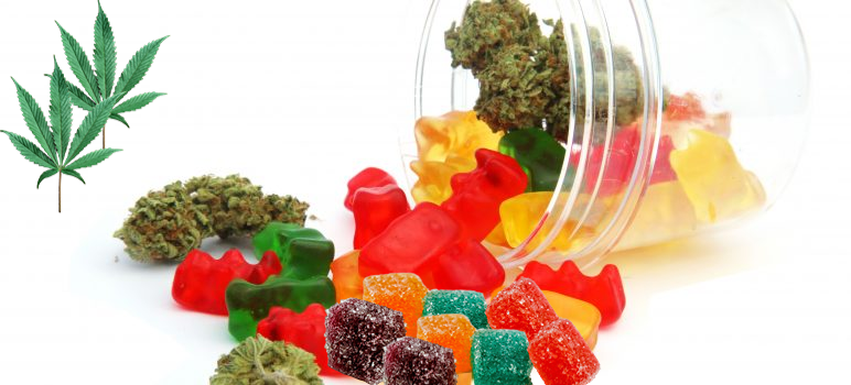 CSC2951-Cannabis Candy Counting and Rotary Type Premade Pouch Packaging System