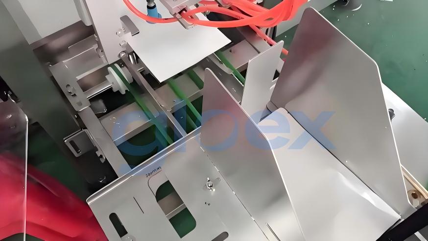 CSD915-Successful Case- Granule Zipper Pouch Linear type Packing Machine CSD915-Successful Case- Granule Zipper Pouch Linear type Packing Machine