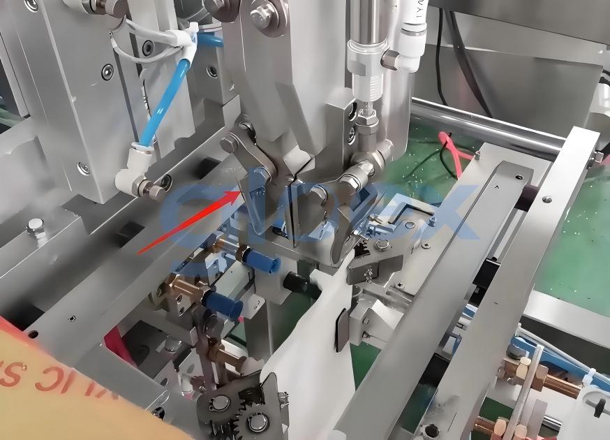 CSD915-Successful Case- Granule Zipper Pouch Linear type Packing Machine CSD915-Successful Case- Granule Zipper Pouch Linear type Packing Machine