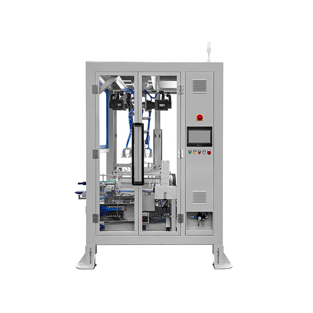 Top Loading Case Packer