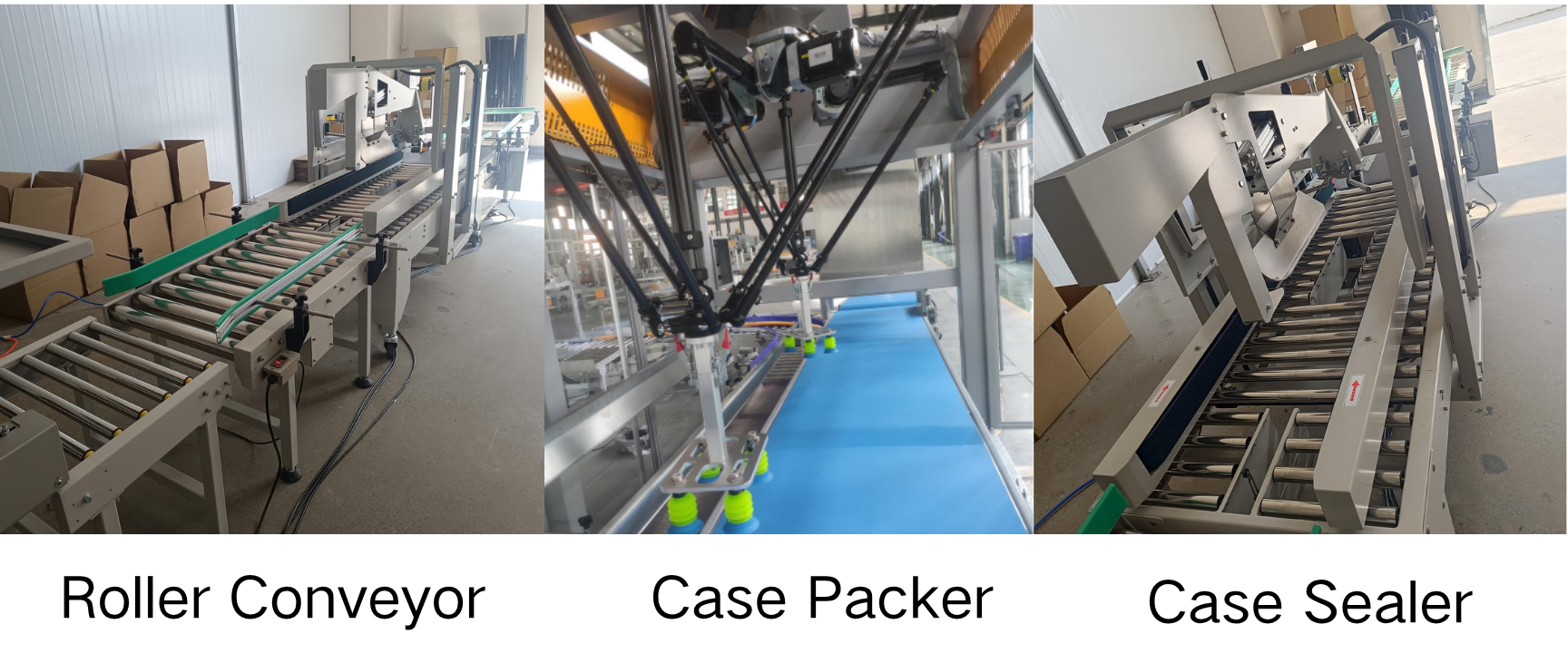 Automatic Vertical Carton Erector Automatic Vertical Carton Erector