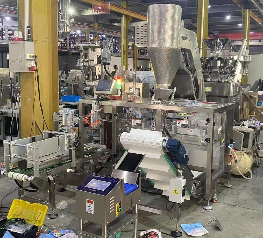 GPG050-Successful Case-PP173-Linear Bag Packing Machine for Dried Frozen Berries