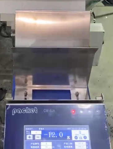 GPG050-Successful Case-PP173-Linear Bag Packing Machine for Dried Frozen Berries