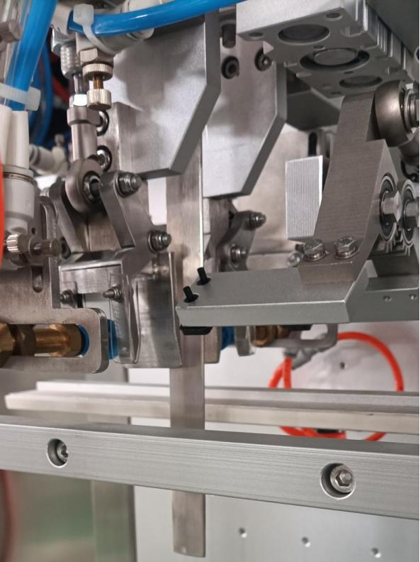 GPG050-Successful Case-PP173-Linear Bag Packing Machine for Dried Frozen Berries