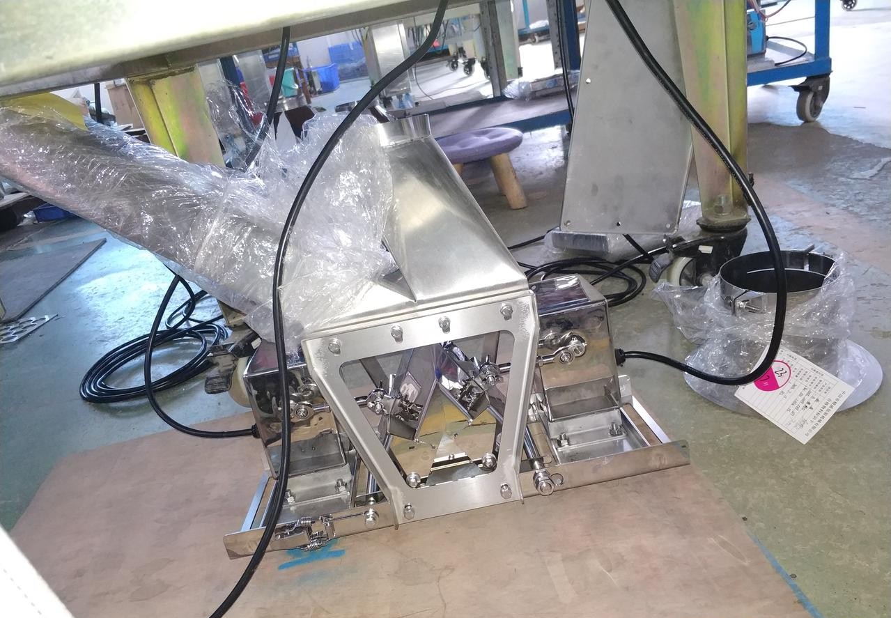 GPG050-Successful Case-PP173-Linear Bag Packing Machine for Dried Frozen Berries