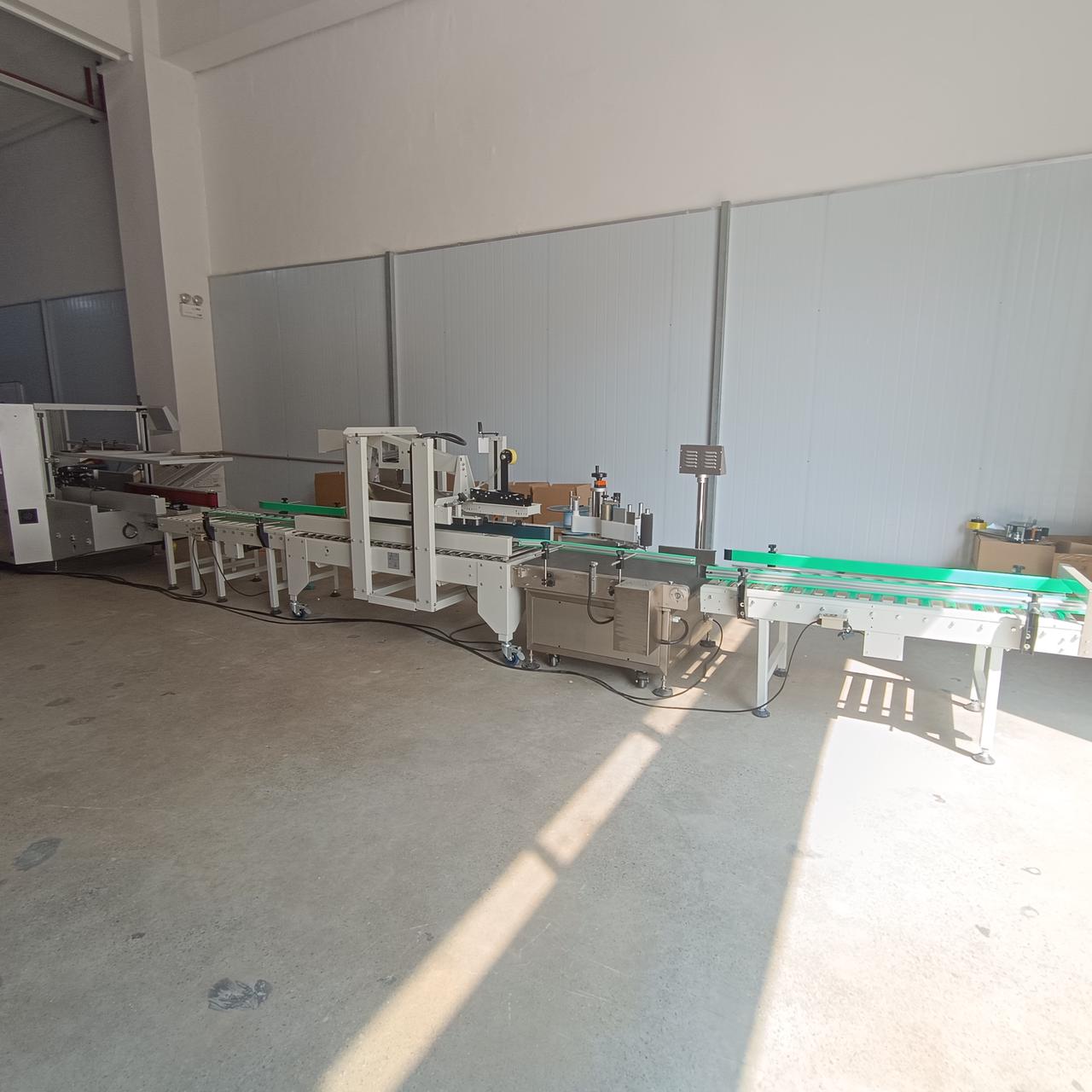 GPG266-Successful Case- Semi-auto Bags into Case Packaging Line