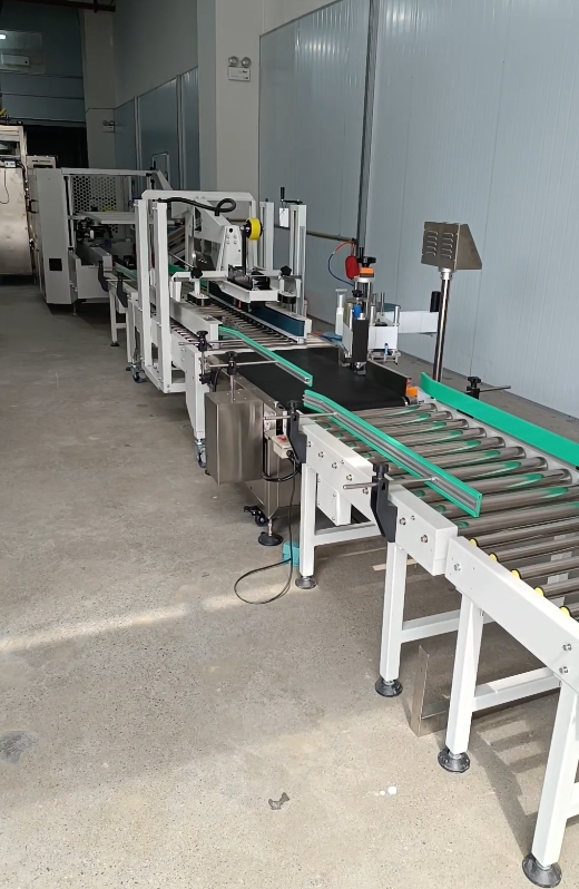 GPG266-Successful Case- Semi-auto Bags into Case Packaging Line