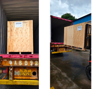 GPG266-Successful Case- Semi-auto Bags into Case Packaging Line