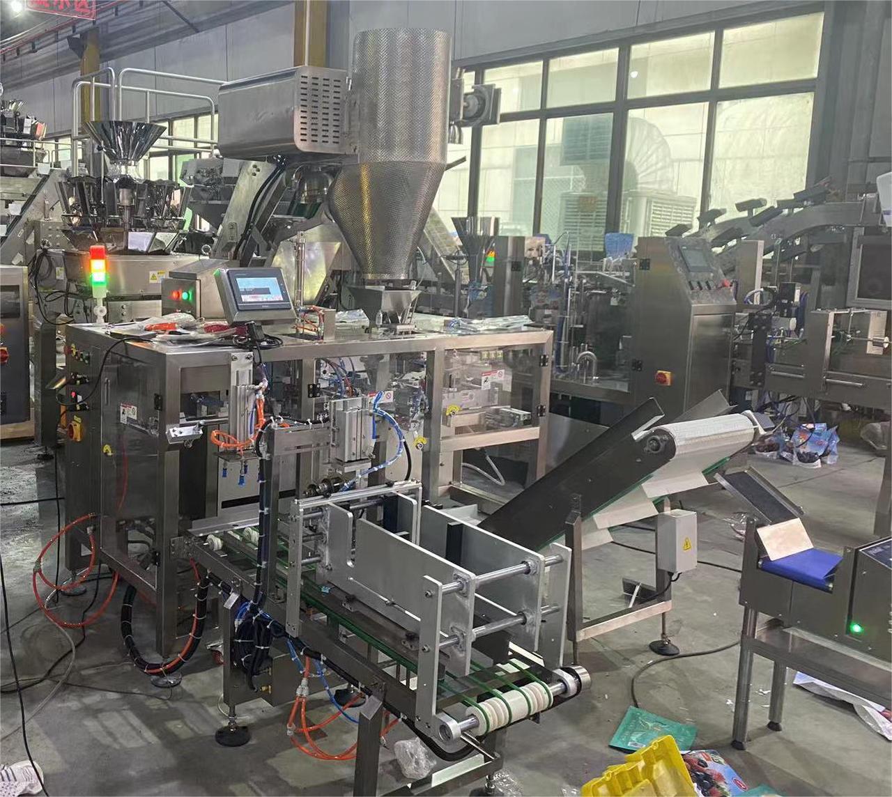 GPG050-Successful Case-PP173-Linear Bag Packing Machine for Dried Frozen Berries