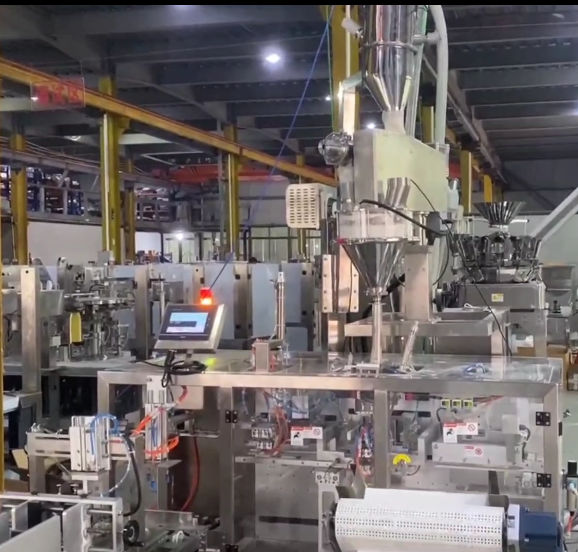 GPG050-Successful Case-PP173-Linear Bag Packing Machine for Dried Frozen Berries GPG050-Successful Case-PP173-Linear Bag Packing Machine for Dried Frozen Berries