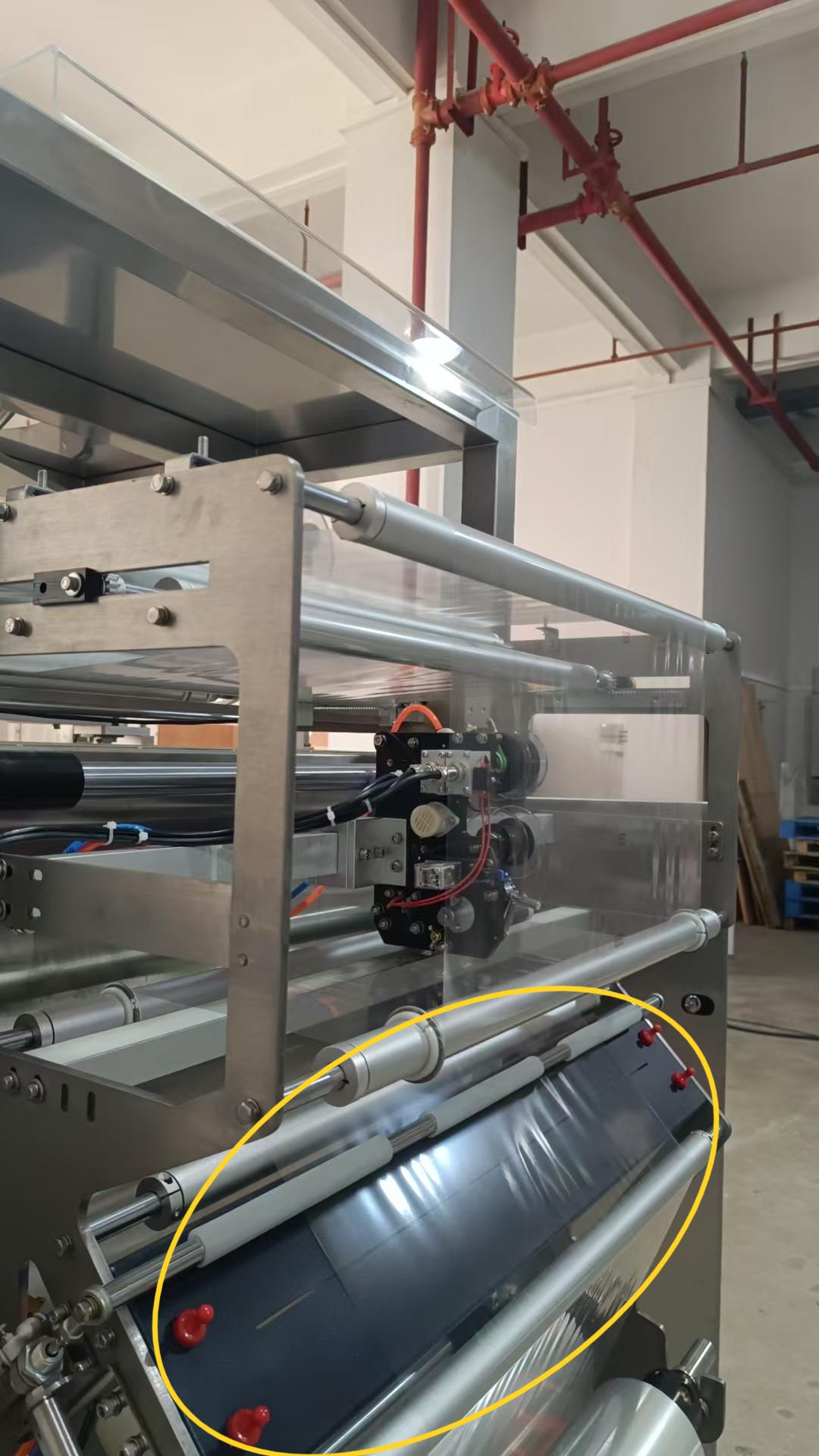 GPG313-Successful Case- Leaves Salad Pillow Bag VFFS Machine