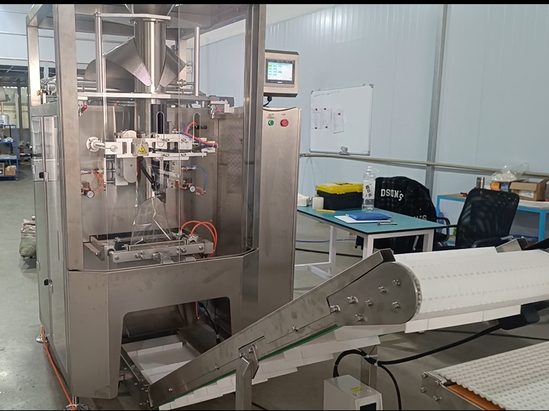 GPG313-Successful Case- Leaves Salad Pillow Bag VFFS Machine