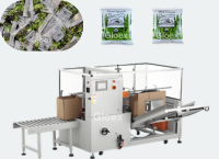 GPG266-Successful Case- Semi-auto Bags into Case Packaging Line