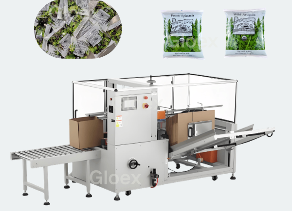 GPG266-Successful Case- Semi-auto Bags into Case Packaging Line